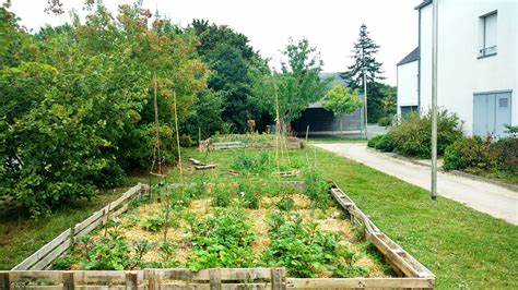 Jardin_partagé_-_Mouillères.jpeg